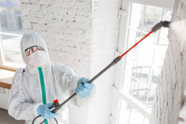 Best Environmental Consulting for Mold Prevention  in Galesville, WI