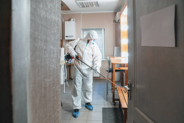 Best Black Mold Removal  in Galesville, WI